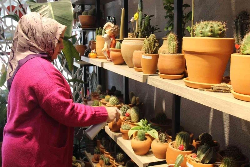 Kaktüs merakı kadın girişimciyi iş sahibi yaptı

