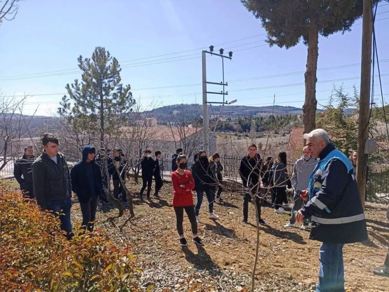 Öğrencilere meyve bahçelerinde bakım, budama ve gübreleme eğitimi
