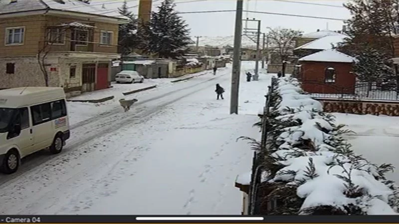 Köpek saldırısından kurtulan Yusuf o anları anlattı
