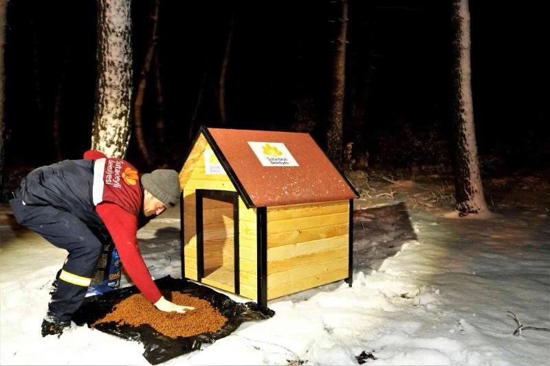 Donma tehlikesi yaşayan yavrulara şefkat eli
