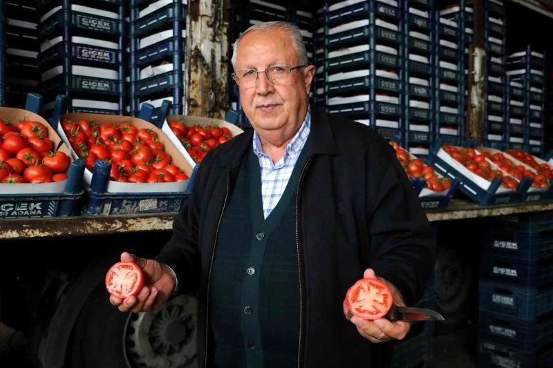 Rusya-Ukrayna savaşı domatesi vurdu: Kilosu 25 liradan 4 liraya düştü
