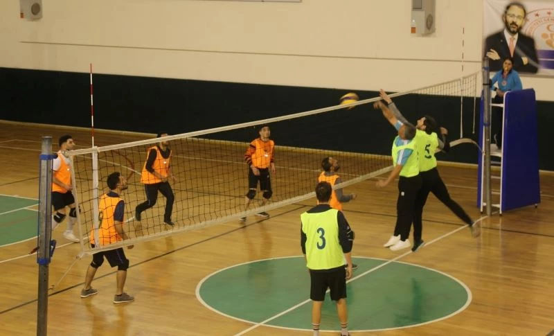 Mahalleler kozlarını filede paylaşıyor
