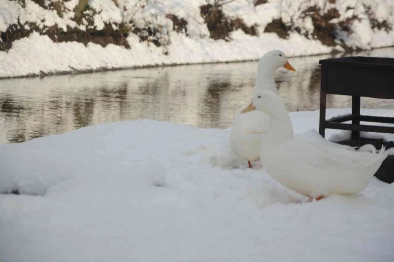 Beyaz bir sabaha uyanan Balıkesir’de karın güzelliği havadan görüntülendi
