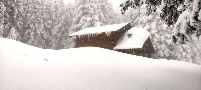 (Özel) Kar kalınlığı 2 metreyi bulunca köşkler kar altında kaldı
