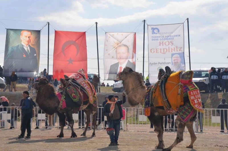 Menemen Folklorik Deve Gösterisinde renkli sahneler
