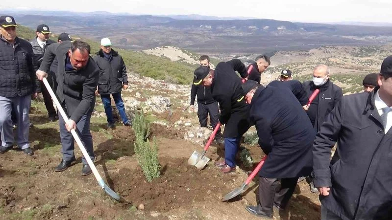 Kilis’te bal ormanı oluşturuluyor
