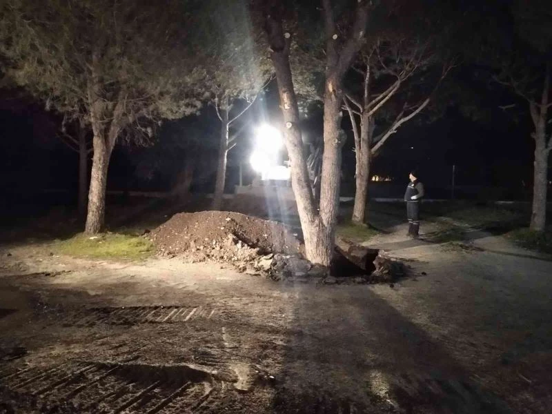 Manisa Büyükşehir’den Akhisar’da ağaç duyarlılığı
