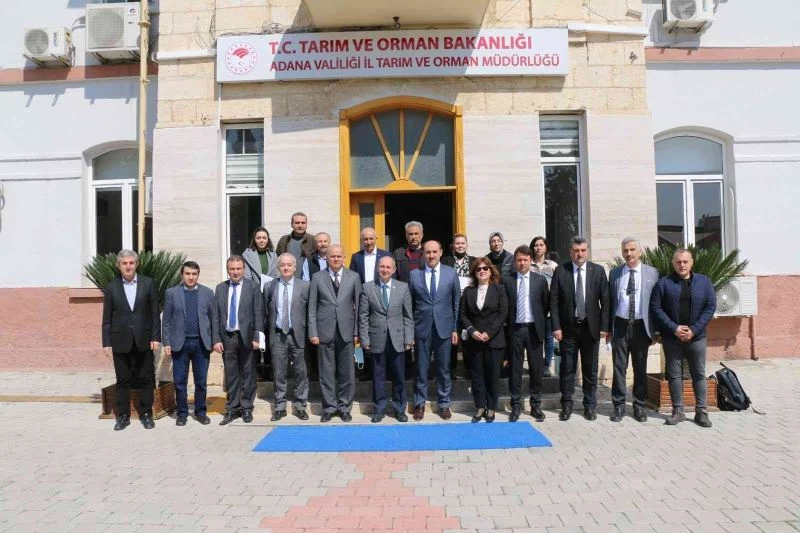 Adana’da ki zirai don olaylarının tarımsal üretime zararı değerlendirildi
