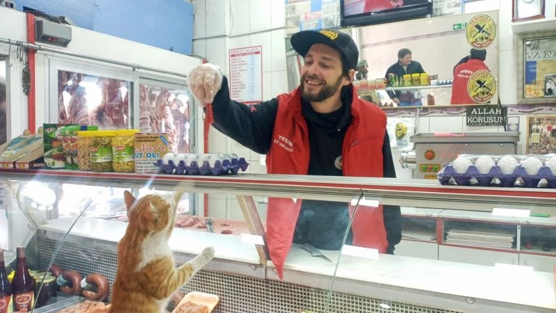 Kanadalı sosyal medya fenomeni ’Yeşim Kedi’ için Türkiye’ye geldi
