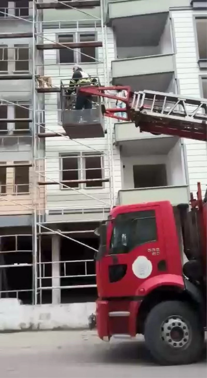 İnşaat iskelesinde mahsur kalan köpeği itfaiye kurtardı
