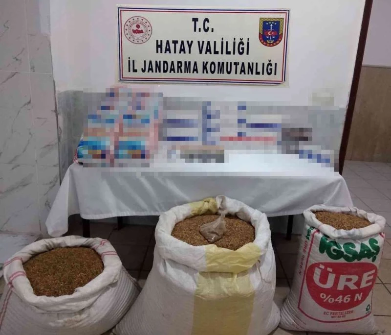 Hassa’da bakkal da 140 kilo kaçak tütün, 100 paket sigara ele geçirildi
