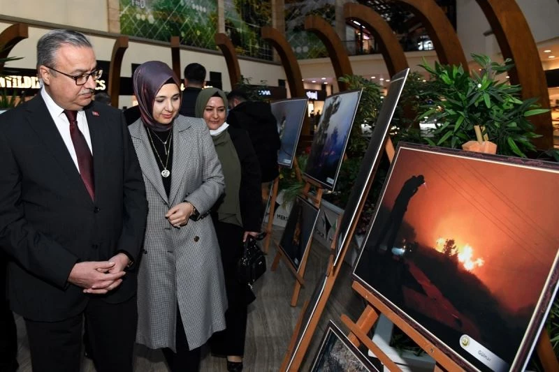 Vali Su, Dünya Ormancılık Günü Fotoğraf Sergisini açtı
