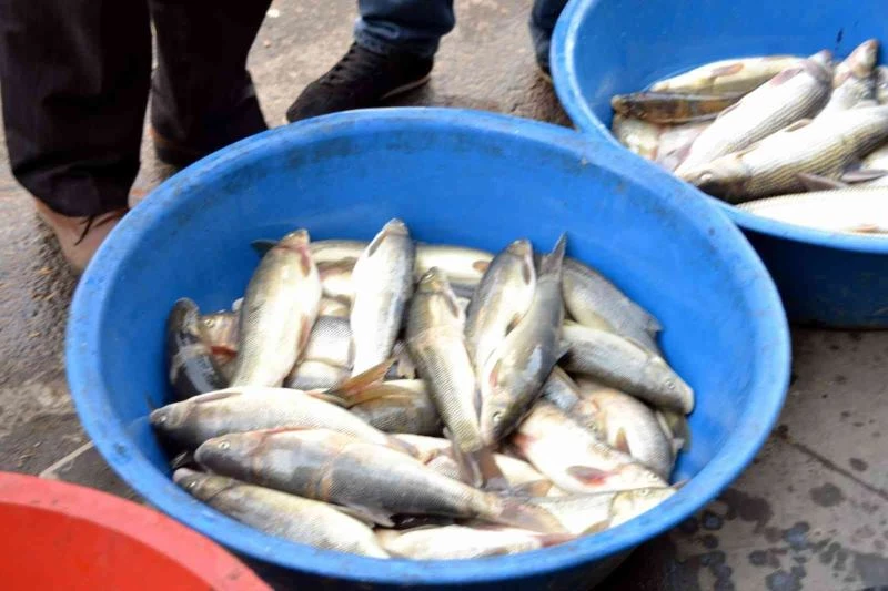 Siirt’te iç sularda av yasağı başlıyor
