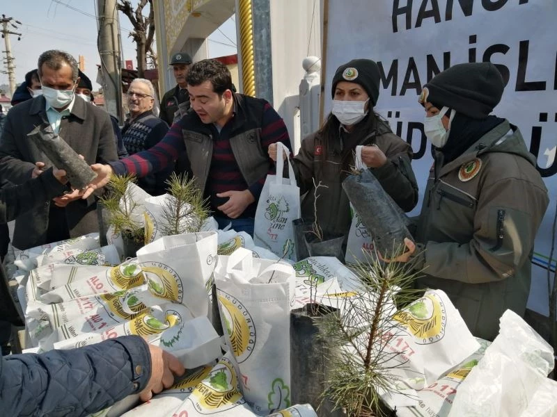 Hanönü’de vatandaşlara ücretsiz fidan dağıtıldı
