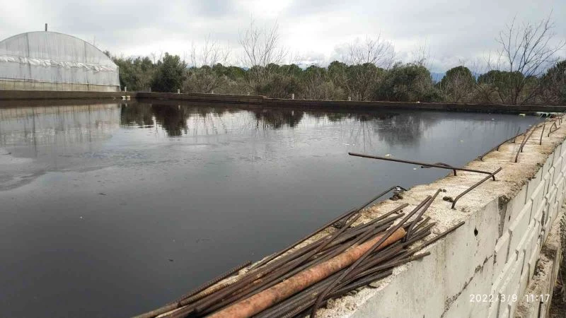 Tarımsal alanları kirleten zeytinyağı fabrikasına 262 bin TL ceza
