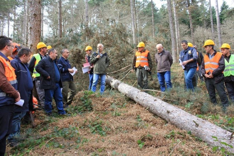 Sakarya Orman Bölge Müdürlüğü 2021’de hedefine yüzde 100 ulaştı
