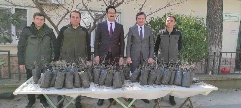 Selendili üreticilere hünnap fidanı dağıtıldı
