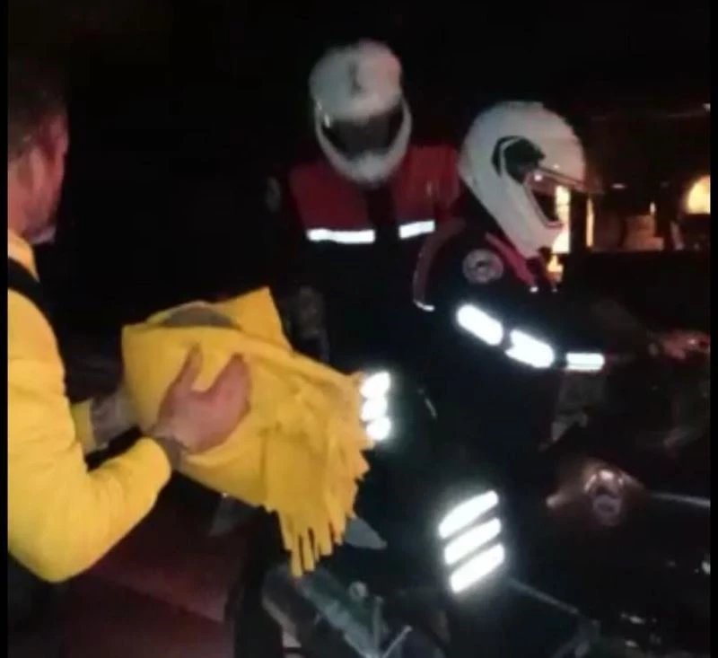 Bara giren kirpiyi polisler teslim aldı
