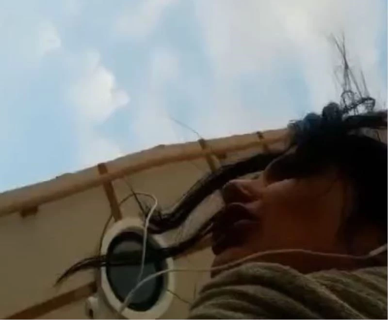 Üniversite kampüsünde başıboş köpek dehşeti
