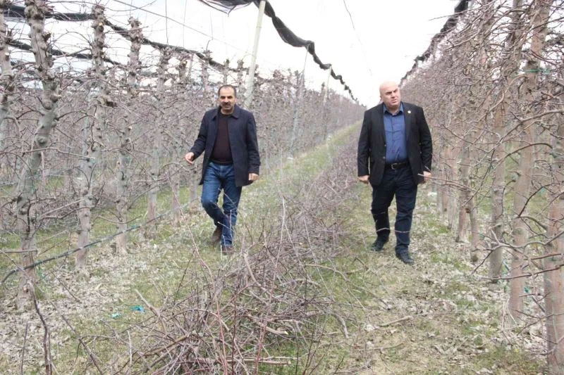 Mart ayının soğuk geçmesi elmada don riskini azalttı
