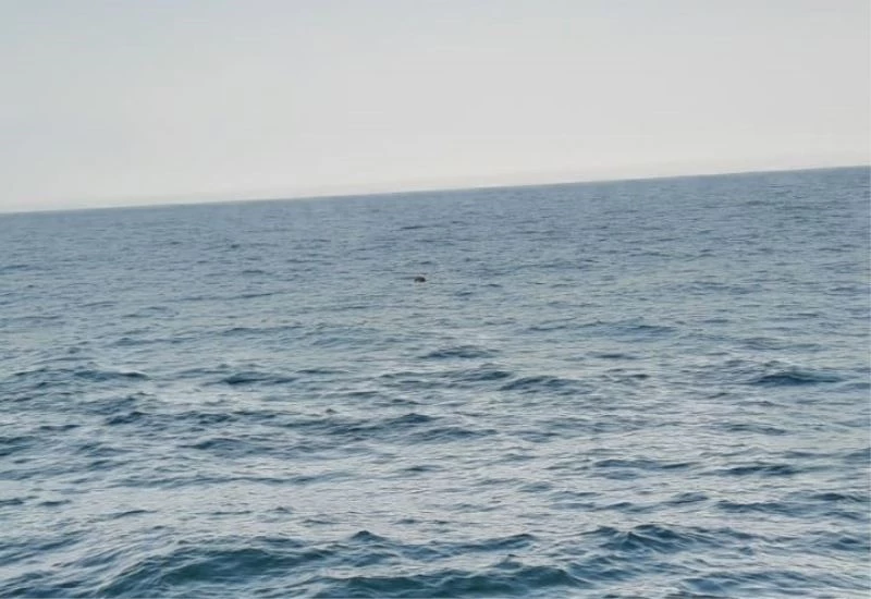 İğneada açıklarında bulunan mayını etkisiz hale getirmek için çalışma başlatıldı
