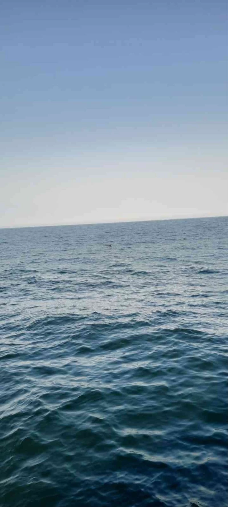 İğneada açıklarında bulunan mayın etkisiz hale getirildi
