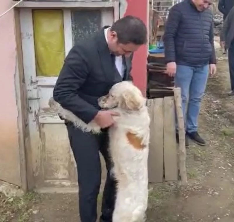 Milletvekilinin merhameti ve kurtardığı köpeğin sadakati duygulandırdı
