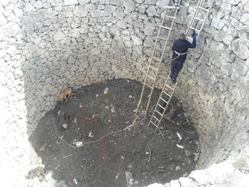 İki gündür kuyuda can çekişti, imdadına itfaiye yetişti
