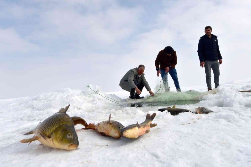 Erzincan’da nisandan haziran ayının sonuna kadar sazan avı yasaklandı
