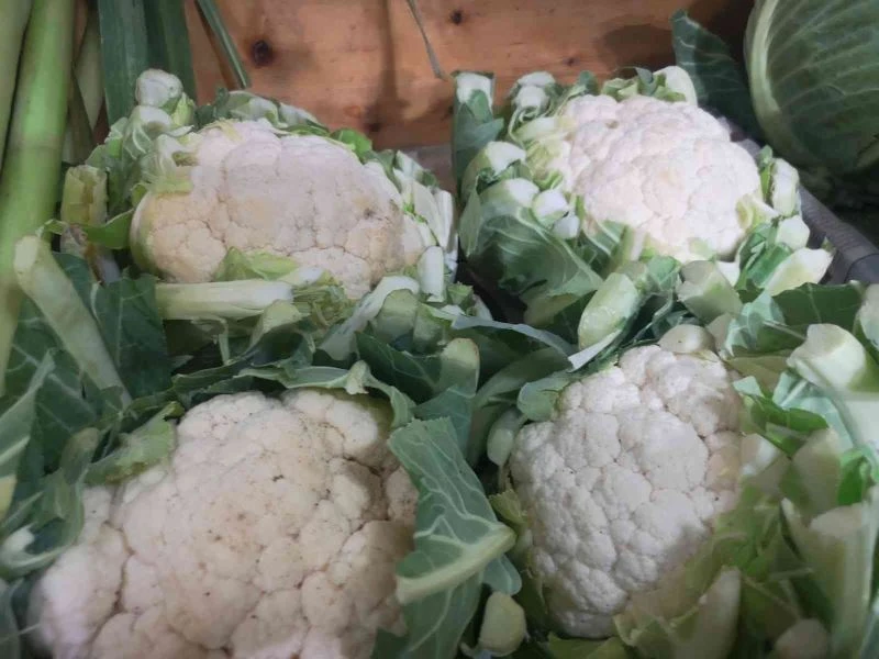 Mersin ve Adana’nın şubat ayı enflasyonu genel enflasyonu aştı: Yüzde 56,67
