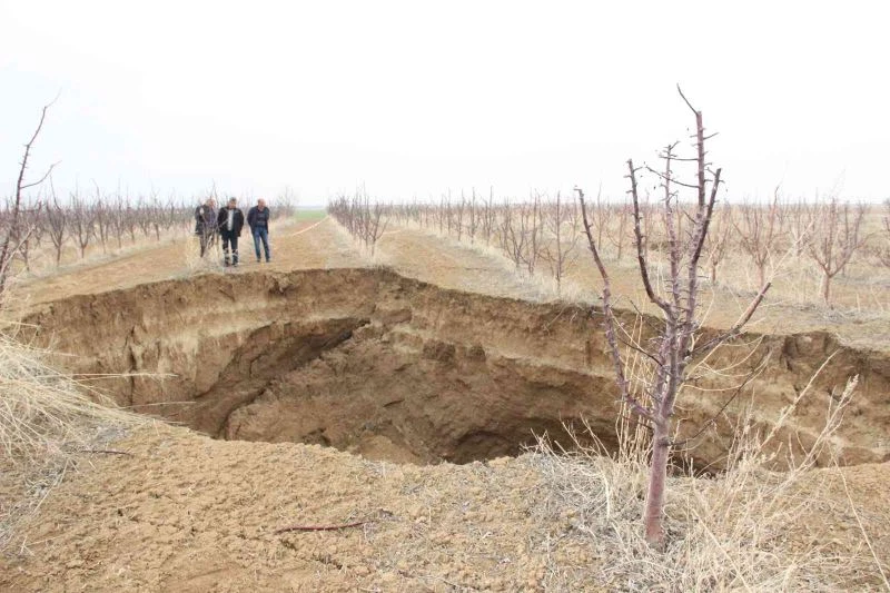 Karaman’da oluşan dev obruk, elma ağaçlarını yuttu
