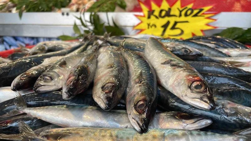 Kilosu 15 lira, kapış kapış satılıyor
