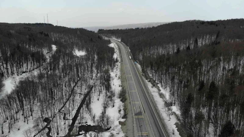 Aylarca kar esareti yaşayan Bolu Dağı’nda bahar havası
