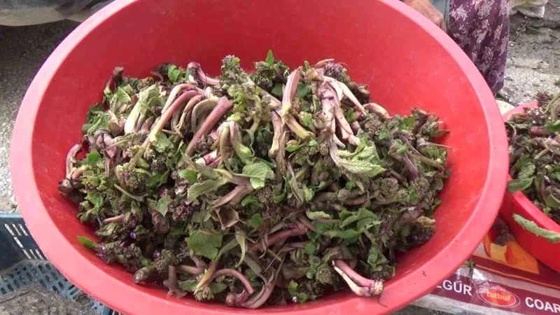 Şifa kaynağı pazara indi
