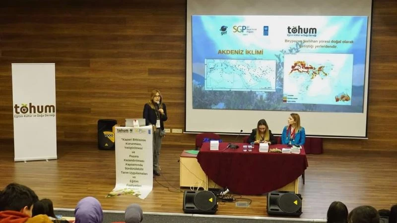 Beypazarı’nda kapari bitkisi için bilgilendirme toplantısı yapıldı
