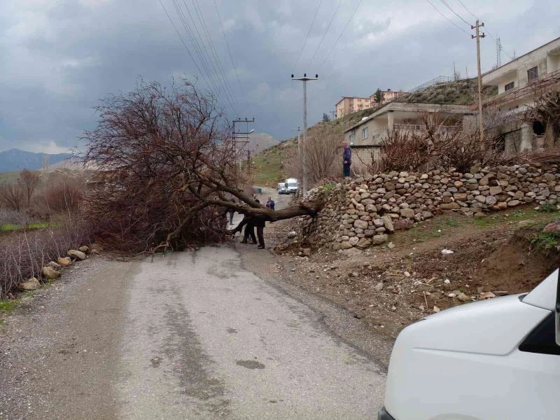 Batman’da şiddetli rüzgarda direkler kırıldı, ağaçlar devrildi

