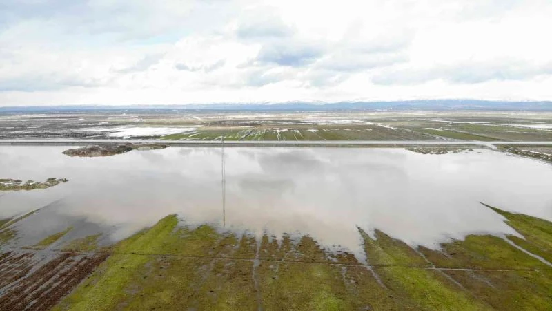 Muş Ovasındaki bazı tarım arazileri ve hayvan çiftlikleri su altında kaldı
