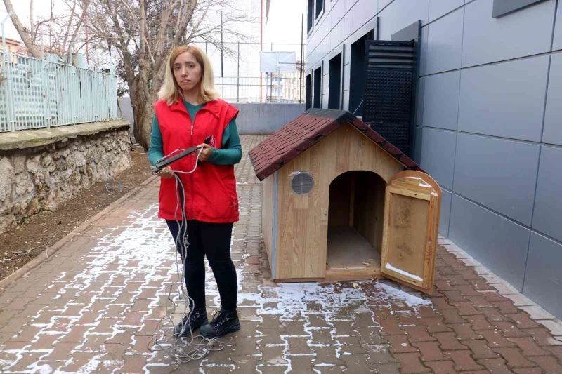 Hava almaya çıkardılar döndüklerinde bulamadılar, bulana ne isterse verilecek
