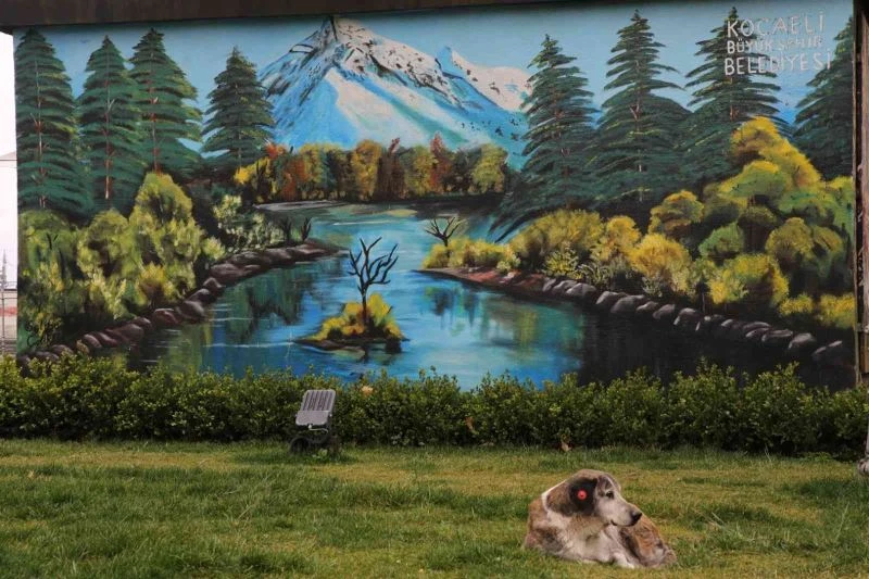 “Güzel Şehrim Kocaeli” ile şehir rengarenk
