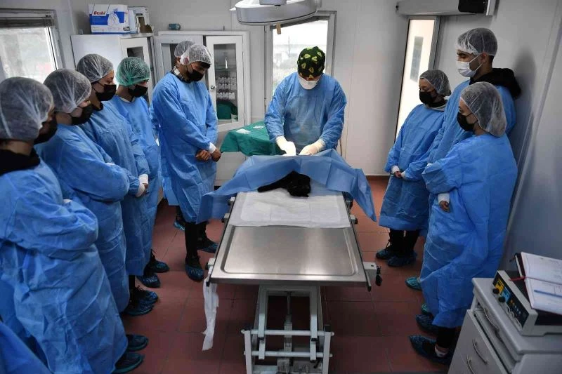 Öğrencilere uygulamalı veterinerlik eğitimi
