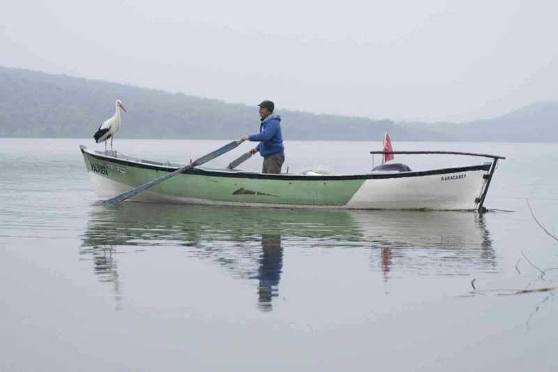 Yaren Leylek ve balıkçı Adem Amca bir kez daha buluştu
