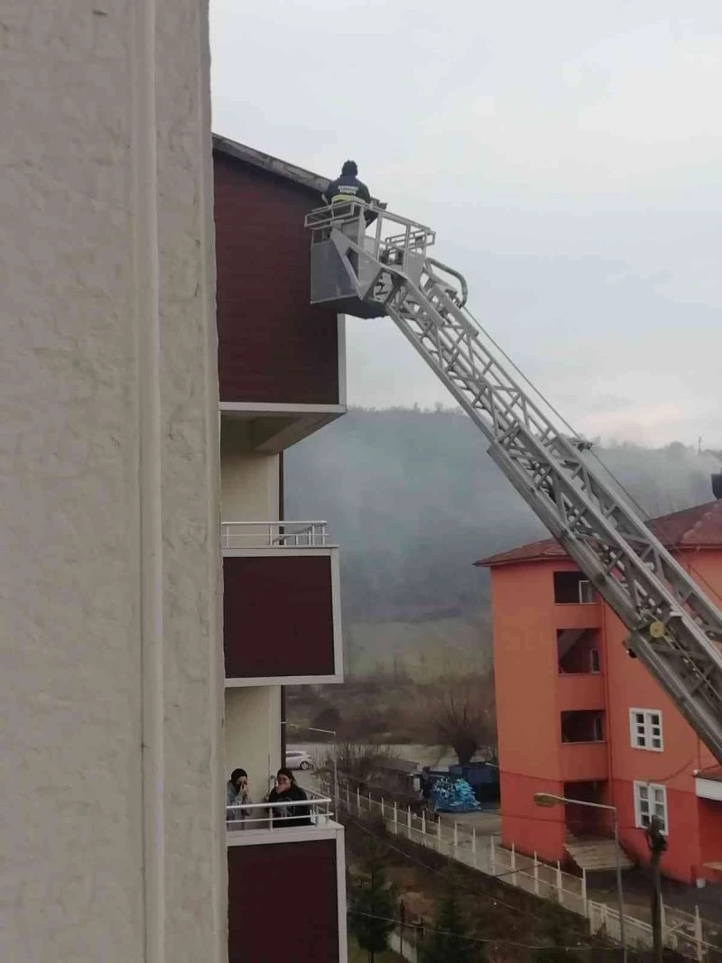 Okulun çatısında mahsur kalan güvercini itfaiye ekipleri kurtardı
