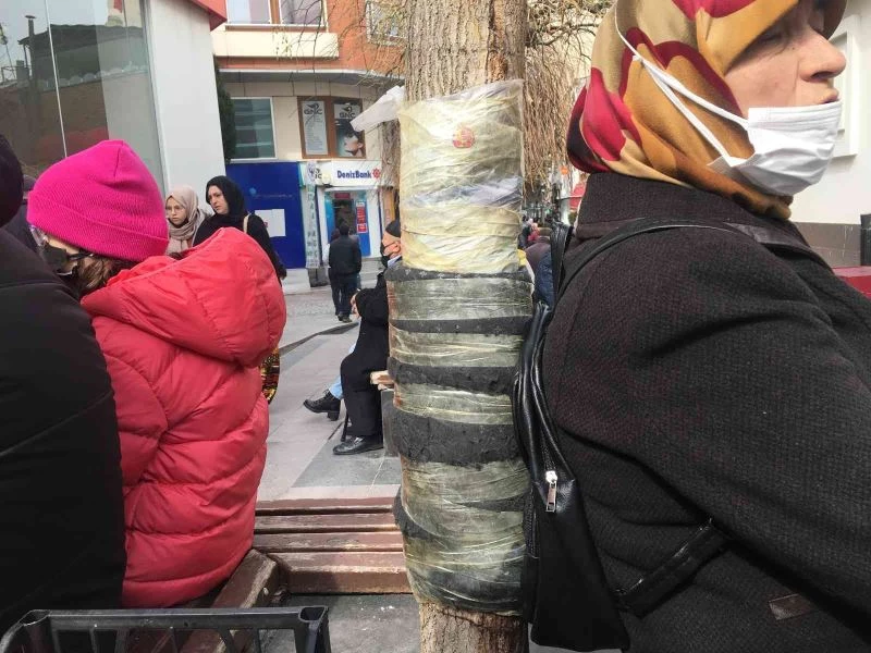 Yaslanacak yer sert olunca ağacı bezle bantladılar
