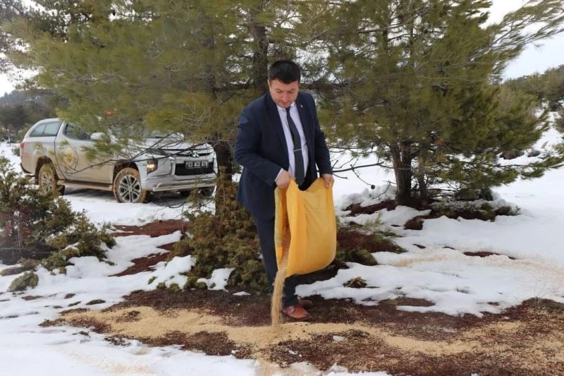 Dazkırı’da yaban hayvanları unutulmadı
