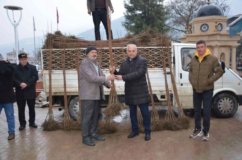 Bilecik’te 4 bin 150 adet cennet hurması dağıttı
