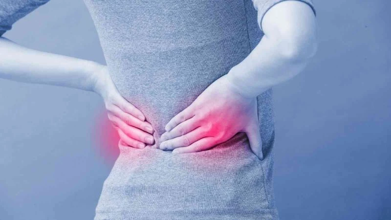 Kronik böbrek hastalığı görülme sıklığı giderek artıyor
