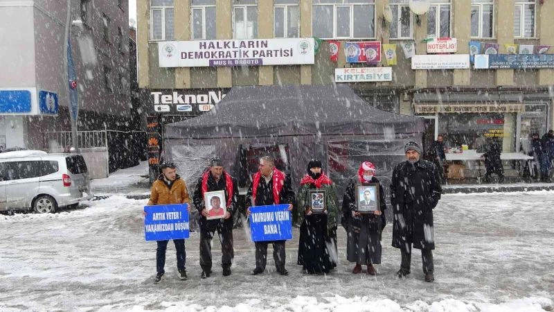 Muşlu annelerin kar altında evlat nöbeti
