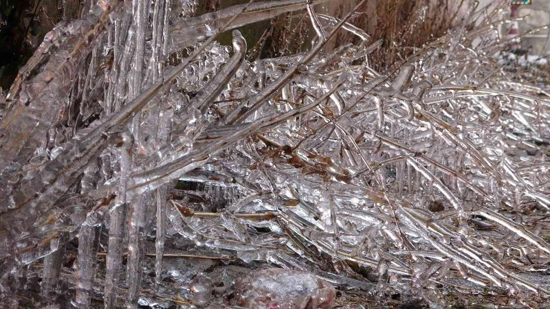 Termometrelerin eksi 18 dereceyi gösterdiği Göle dondu
