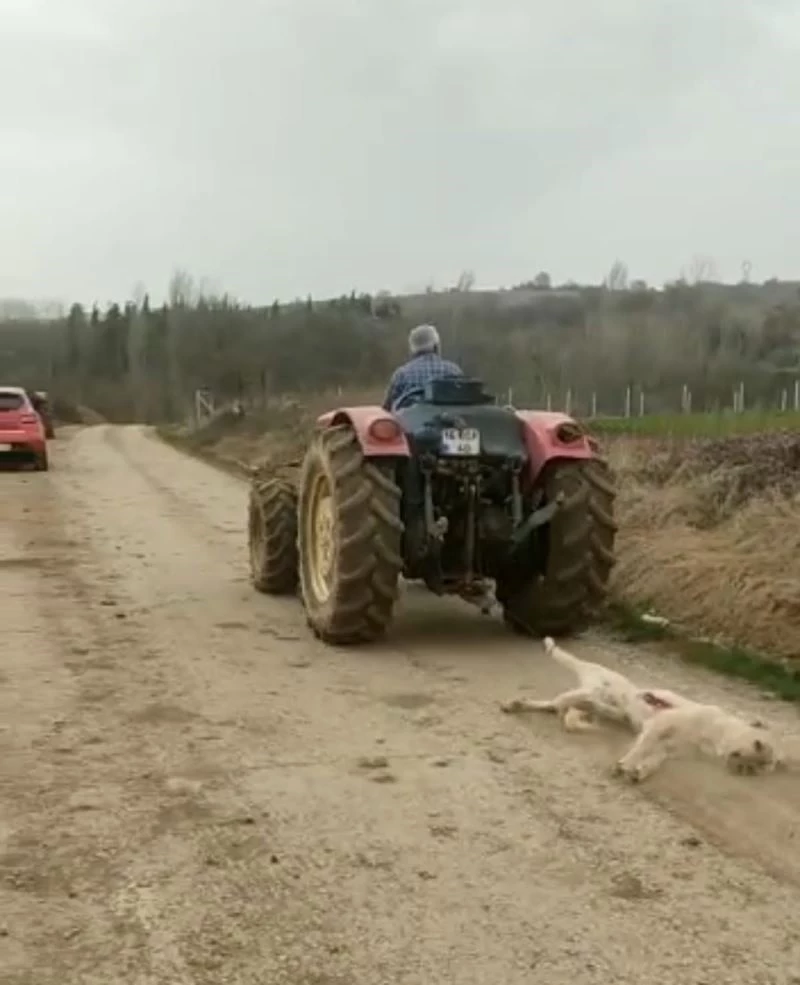 Bursa’da av tüfeği ile vurduğu köpeği traktörüyle sürükledi
