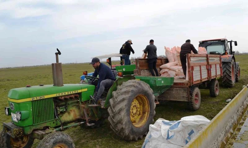 Mera alanlarında gübreleme başladı
